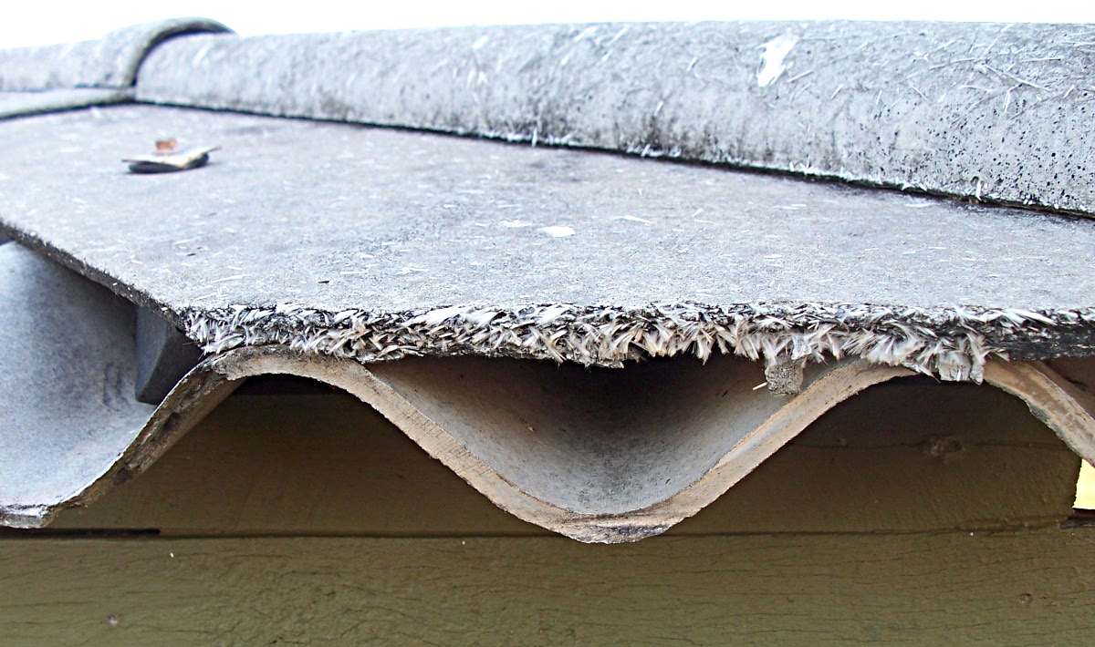 Commercial asbestos management service